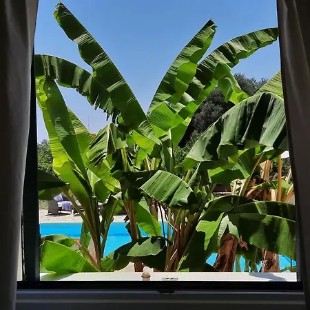 فيلة Alekos Houses-mitis
