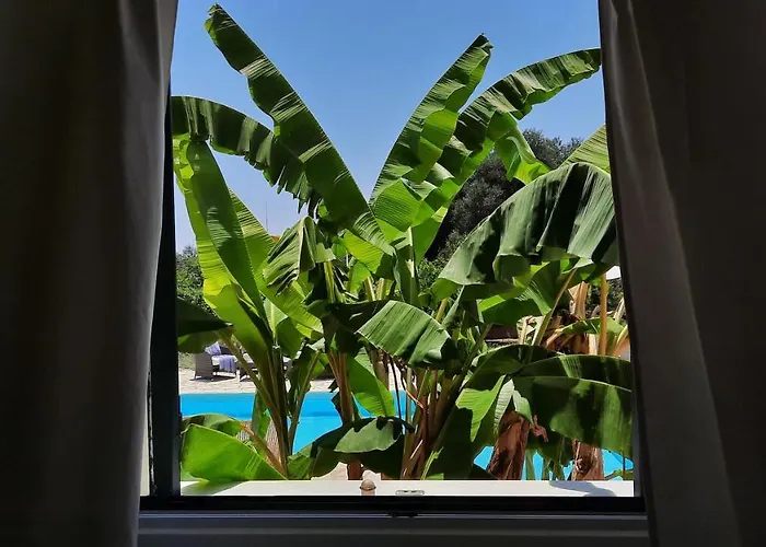 Villa Alekos Houses-mitis